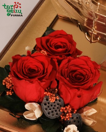 Bosui "Laivas su palinkėjimu"