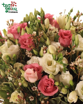 Flowers box "Eustoma & freesia"