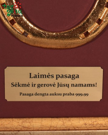 Auksu dengta laimės pasaga