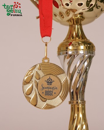 Taurė "Šauniausia Bosė"