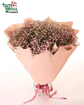 Bouquet of gypsophila