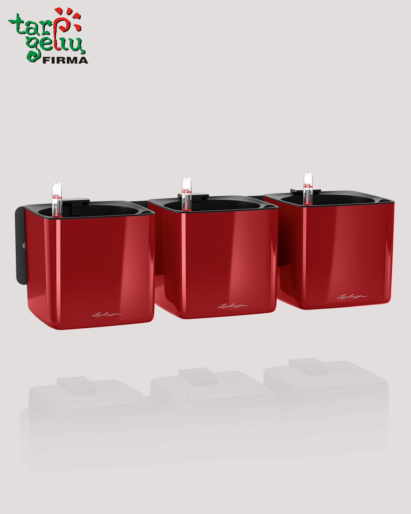 CUBE Glossy augalų sienos rinkinys