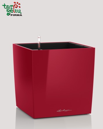 Vazonas CUBE