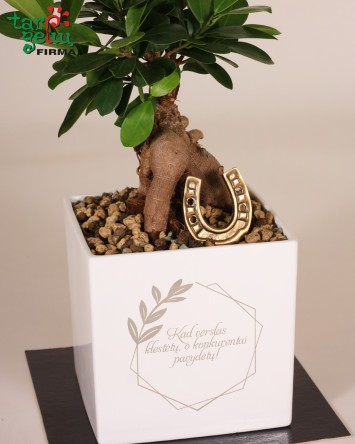 "Kad verslas klestėtų, o konkurentai pavydėtų!"