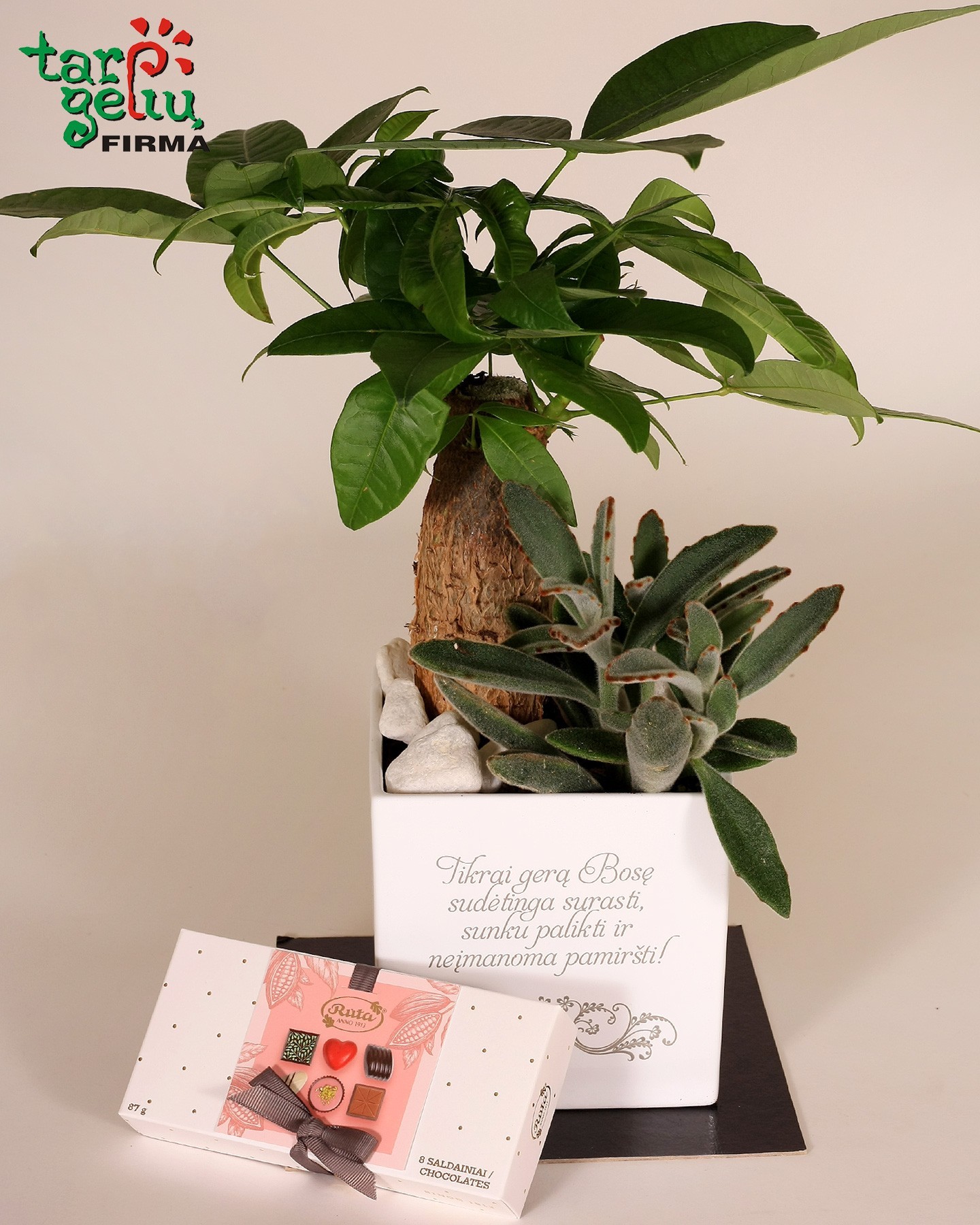 Dekoruotas obuolys pinigams dovanoti