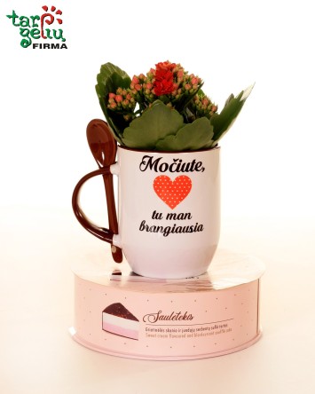 "Močiute, tu man brangiausia"