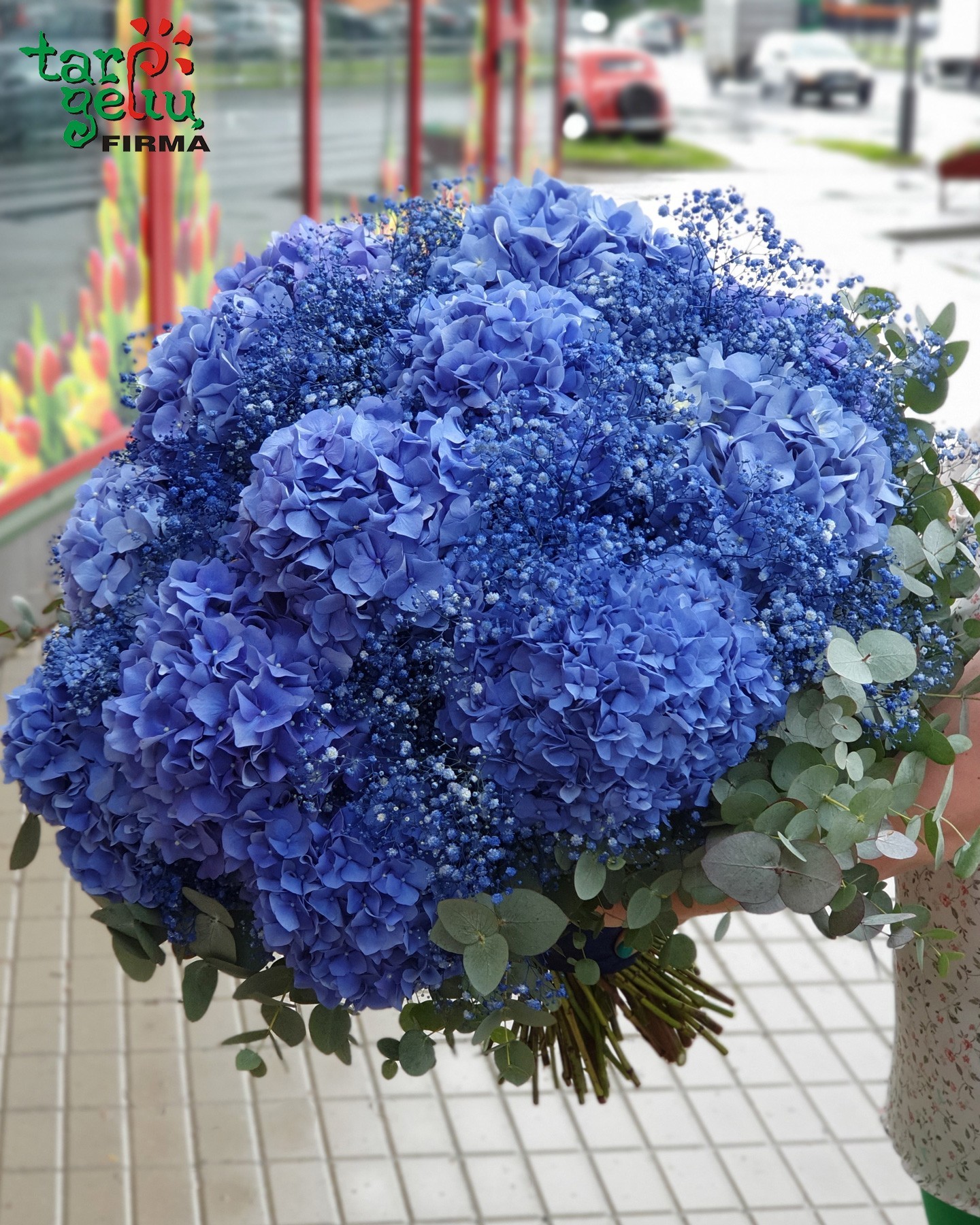 Bouquet of hydrangeas