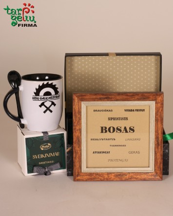 "Bosui - visų galų meistrui"