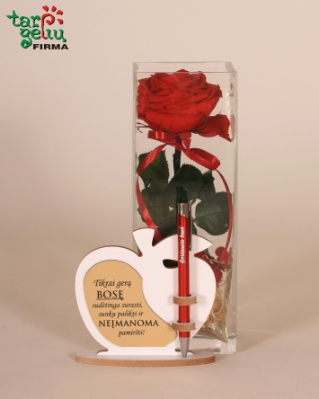 "Mieganti" rožė geriausiai...