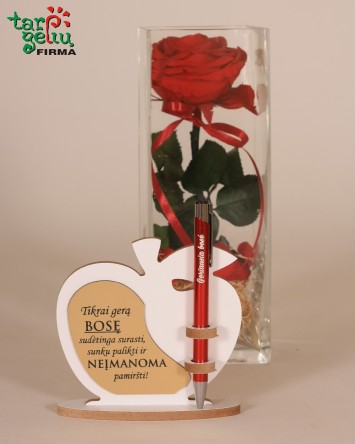 "Mieganti" rožė geriausiai Bosei