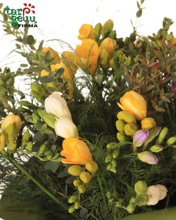 Bouquet of freesia