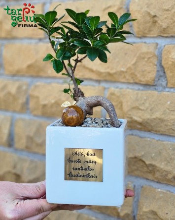 Stilizuotas augalas -...